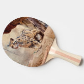 Raquette De Ping Pong léopard nébuleux image nature faune exotique (Côté)