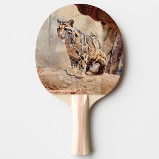 Raquette De Ping Pong léopard nébuleux image nature faune exotique (Devant)