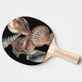 Raquette De Ping Pong Les trésors de la mer (Côté)