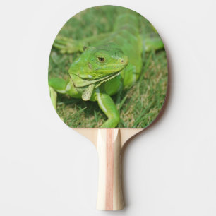 Raquette De Ping Pong Lézard vert de rampement
