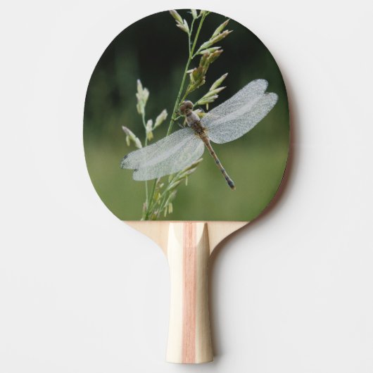 Raquette De Ping Pong Libellule Anax couvert de rosée (Devant)