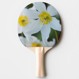 Raquette De Ping Pong Lilies des avalanches au Paradise Park
