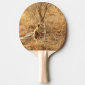 Raquette De Ping Pong Lion (Devant)