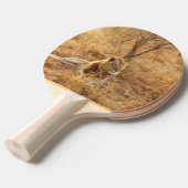 Raquette De Ping Pong Lion (Devant Angle)