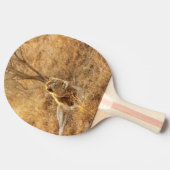 Raquette De Ping Pong Lion (Côté)