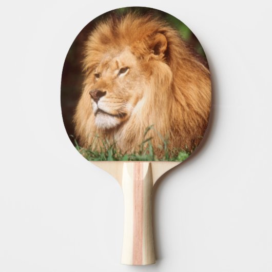 Raquette De Ping Pong Lion adult (Devant)