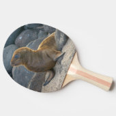 Raquette De Ping Pong Lion de mer des Galapagos (Côté)