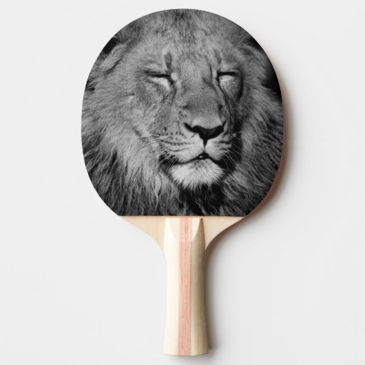 Raquette De Ping Pong Lion dormant (Devant)