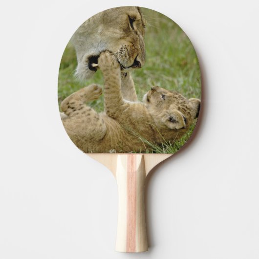 Raquette De Ping Pong Lionceau Jouant (Devant)