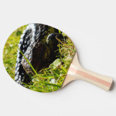 Raquette De Ping Pong Lizard à dos bleu australien, (Côté)