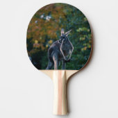 Raquette De Ping Pong Majestic Kangaroo (Dos)