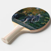 Raquette De Ping Pong Majestic Kangaroo (Devant Angle)