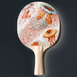 Raquette De Ping Pong Méduse, Discomedusae par Ernst Haeckel<br><div class="desc">Méduse, Discomedusae Scheibenquallen par Ernst Haeckel Ping Pong Paddle</div>