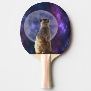 Raquette De Ping Pong Meerkat Sur Blue Moonlight Night Watch,