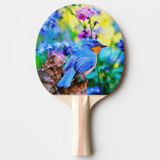 Raquette De Ping Pong Melody Meadow (Devant)