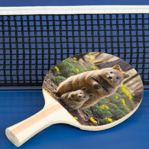 Raquette De Ping Pong Mère Et Bébé Quokka, Ping Pong Paddle