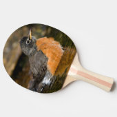 Raquette De Ping Pong Merle américain se baignant 2 (Côté)