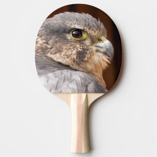 RAQUETTE DE PING PONG MERLIN FALCON OISEAU DE PREY (Devant)