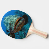 Raquette De Ping Pong Mérou géant de l'Atlantique (Côté)