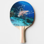 Raquette De Ping Pong Miles de poissons-lions ou de ptérois, poissons de (Dos)