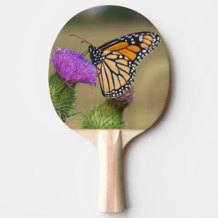 Raquette De Ping Pong Monarque sur chardon de pâturage Prairie Ridge