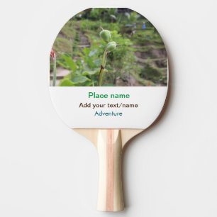 Raquette De Ping Pong Nature plante photographie plage eau nom de voyage