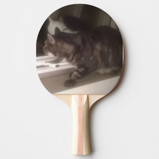 Raquette De Ping Pong Ne vous parlez pas Dave Ping Pong Paddle (Devant)