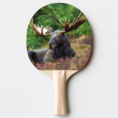 Raquette De Ping Pong Oie (Dos)