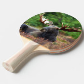 Raquette De Ping Pong Oie (Devant Angle)