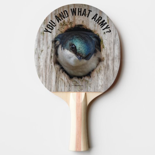 Raquette De Ping Pong Oiseau-chanteur avale en arbre massif (Dos)