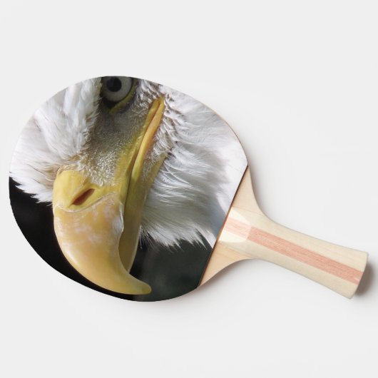 RAQUETTE DE PING PONG OISEAU D'AGLE (Côté)