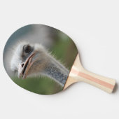 Raquette De Ping Pong Oiseau d'autruche (Côté)