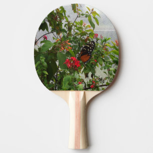 RAQUETTE DE PING PONG ORANGE BUTTERFLY