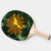 Raquette De Ping Pong Orange Pot Marigold Flower (Calendula officinalis) (Côté)