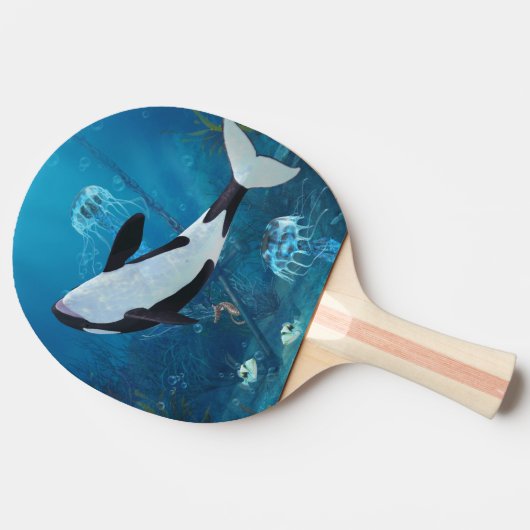 Raquette De Ping Pong Orca 2 (Côté)