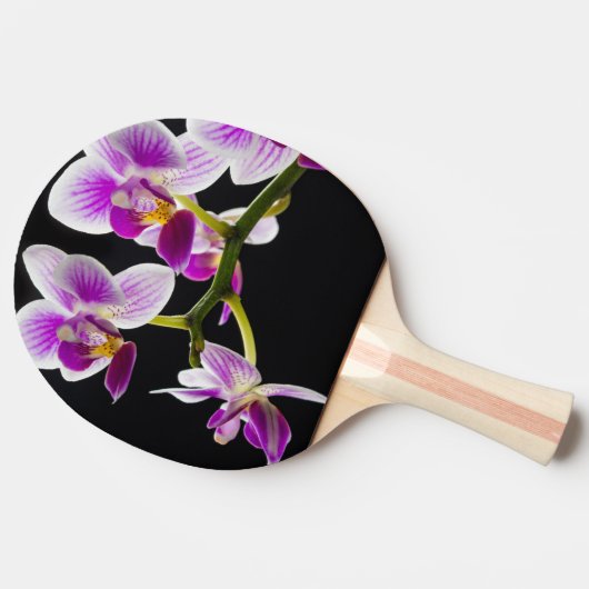 Raquette De Ping Pong Orchidée blanche et violette (Côté)