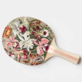 Raquette De Ping Pong Orchidées, Orchidées Denusblumen par Ernst Haeckel (Côté)