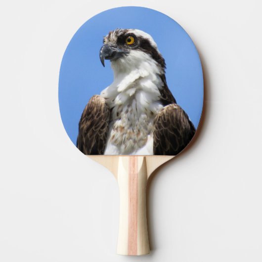 Raquette De Ping Pong Osprey - Oiseau - Ping Pong Paddle (Dos)