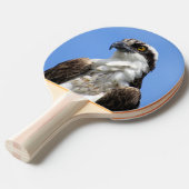 Raquette De Ping Pong Osprey - Oiseau - Ping Pong Paddle (Devant Angle)
