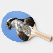 Raquette De Ping Pong Osprey - Oiseau - Ping Pong Paddle (Côté)