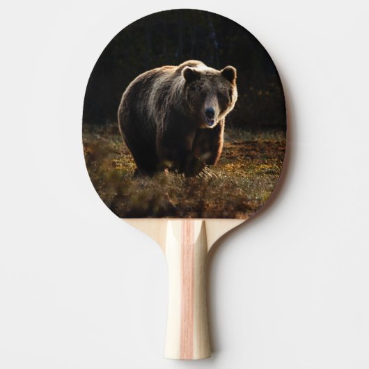 Raquette De Ping Pong Ours (Devant)
