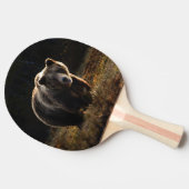Raquette De Ping Pong Ours (Côté)