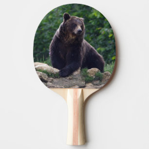 Raquette De Ping Pong Ours Brown