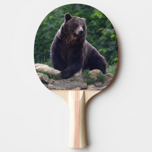 Raquette De Ping Pong Ours Brown (Devant)