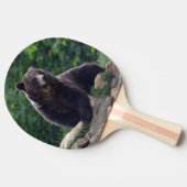 Raquette De Ping Pong Ours Brown (Côté)