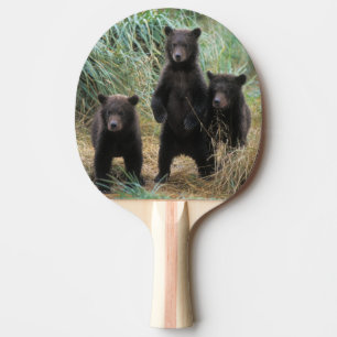 Raquette De Ping Pong ours brun, arctos d'Ursus, ours gris, Ursus 7 2