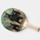Raquette De Ping Pong ours brun, arctos d'Ursus, ours gris, Ursus 7 2 (Côté)