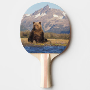 Raquette De Ping Pong ours brun, Ursus arctos, grizzly, Ursus