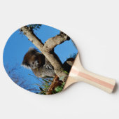 Raquette De Ping Pong Ours Koala, (Côté)