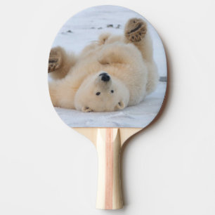 Raquette De Ping Pong ours polaire, Ursus maritimus, ourson roulant 3